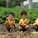 열린창의어린이집 이미지