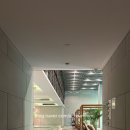 온더짐(ON the GYM) | 상하이 숙소 추천｜반얀트리 상하이 온 더 번드 파노라마 오아시스 로맨틱 풀 내돈내산 후기