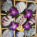 논골로 | 성남시 수정구 회 맛집 어장관리로 회식 다녀 후기