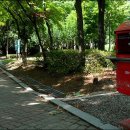 우면산 (대성사 옆) 이미지