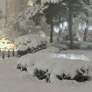 생선장수충북 이미지