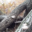 황토밥상 이미지