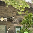 은파꼬기냉면 앞 이미지