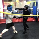 한철민복싱클럽 이미지