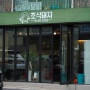 초식돼지