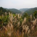 주약초등학교 앞 이미지