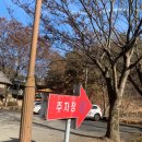 팔공산오리 | [맛집 후기] 팔공산오리맛집 대구방갈로식당 산속비봉식당 방문 후기