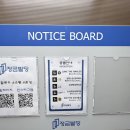 정금빌딩 | [당산 필라테스] 1:1 맞춤 필라테스 필앤노멀 체험 후기