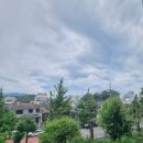 상남동117 이미지