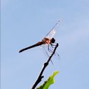 엄마손맛 반찬 이미지