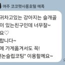 코코펫 살롱 호텔 네이버블로그