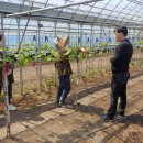 오명선농장 이미지