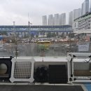 참 동물병원 이미지