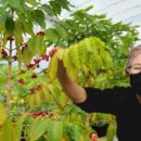 김기정농장 이미지