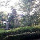 방아다리근린공원 네이버블로그