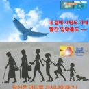 보광만물