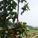 삼남매농장 이미지
