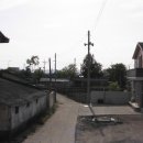 배들약국 이미지