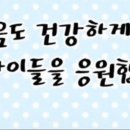 한얼태권도체육관 이미지