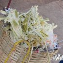 장신주유소 이미지
