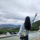 달이뜨면꽃이피고 이미지