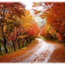 별내3로64-1 이미지