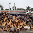 나루터곰탕 이미지