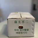 초아스마트팜