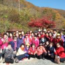 마임서부지사 이미지