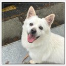 아이조아요양보호소 전남광주점 이미지