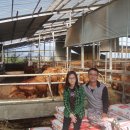 상일중학교 앞 이미지