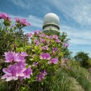 구덕대림상가 이미지