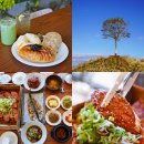 천하유리 | 제주 천하제빵 빵집 플랜트827, 제주도 고등어조림 광해 방문 후기