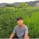 여주-0107 이미지