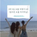 네일모행 | 🏝 필리핀 보홀 여행기 마지막편 - 육상투어, ICM몰, 추천기념품, 0.5박 출국패키지