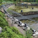 마평관광농원 이미지