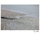 벌교생태공원 이미지