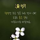 청명 - 보령시 중앙로 210 | 청명