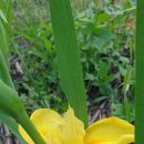 라우라(LAURA) 이미지