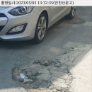 금광지물장식
