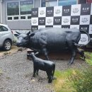 파리바게트 강남삼성점 이미지