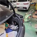 태평양카독크 이미지