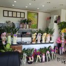 장곡부동산중개 이미지