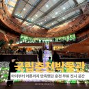 가춘천 | 겨울 춘천 가볼 만한 곳 국립 박물관 후기 실내에서 즐기는 춘천 여행 코스