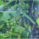 승준농장 이미지