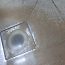 2430 | 싱크대 막힘 역류 원인부터 해결까지 에브리데이 2430 스마트케어 솔직 후기