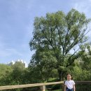 반딧불이생태공원 화장실 이미지