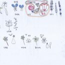 달랭이님 식물보호기사 잡초 그림(보기 편하게 jpg파일로 변환) 이미지