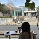 [연희동] 제철재료로 파인다이닝 버금가는 맛 “산스”🌸에서 봄 갬성 충전 | 피터팬 소금빵 | 룩백커피...