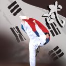 진성태권도 이미지